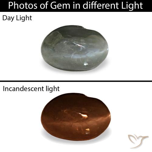 0.41ct 그레이 Cat's Eye Alexandrite, 오벌, 불투명체