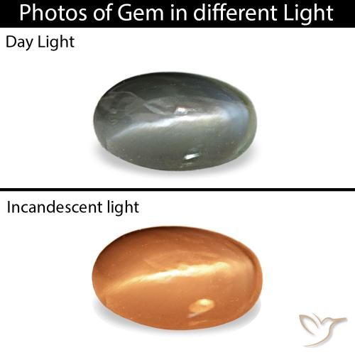 0.43ct 그레이 Cat's Eye Alexandrite, 오벌, 불투명체