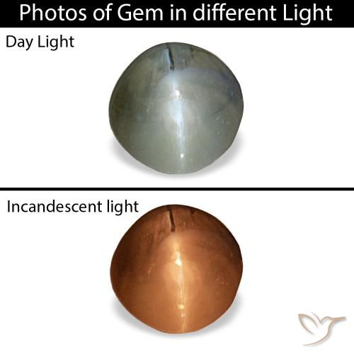 0.85캐럿 천연 미디엄 그레이 Cat's Eye Alexandrite, 라운드 컷, 5.08 mm, 불투명체