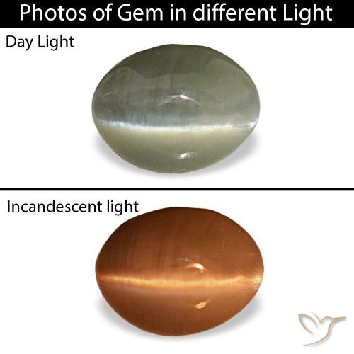0.44ct 그레이 Cat's Eye Alexandrite, 오벌, 불투명체