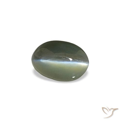 0.50캐럿 천연 미디엄 그레이 Cat's Eye Alexandrite, 타원형 컷, 5.3×3.5 mm, 불투명체