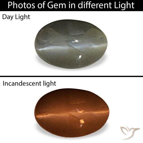 0.47ct 그레이 Cat's Eye Alexandrite, 오벌, 불투명체