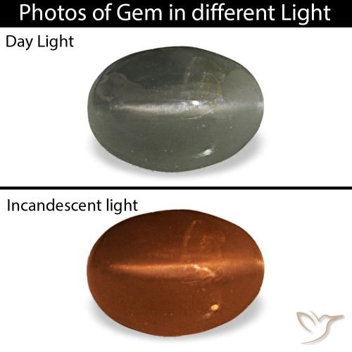 0.47ct 그레이 Cat's Eye Alexandrite, 오벌, 불투명체