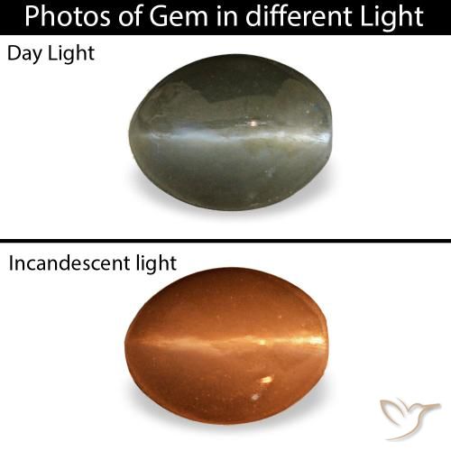 0.45ct 그레이 Cat's Eye Alexandrite, 오벌, 불투명체