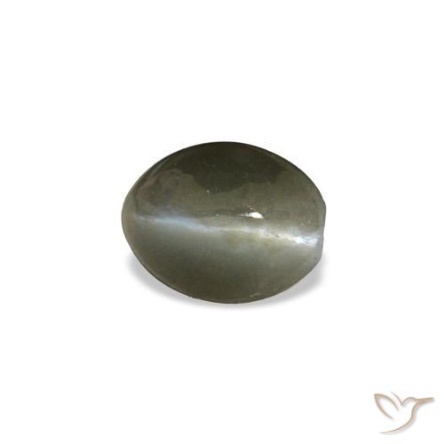 0.45캐럿 천연 미디엄 그레이 Cat's Eye Alexandrite, 타원형 컷, 5×3.9 mm, 불투명체