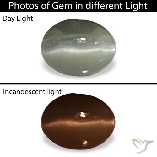 1.03ct 그레이 Cat's Eye Alexandrite, 오벌, 불투명체