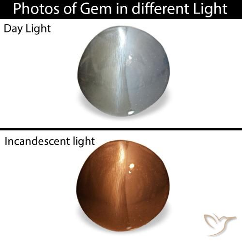 0.88캐럿 천연 미디엄 그레이 Cat's Eye Alexandrite, 타원형 컷, 5.5×5.4 mm, 불투명체