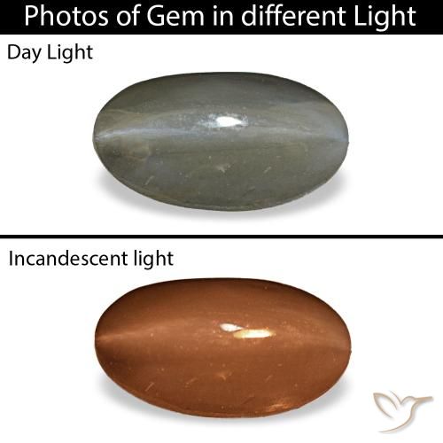1.01ct 그레이 Cat's Eye Alexandrite, 오벌, 불투명체