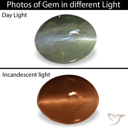 0.64ct 그레이 Cat's Eye Alexandrite, 오벌, 불투명체