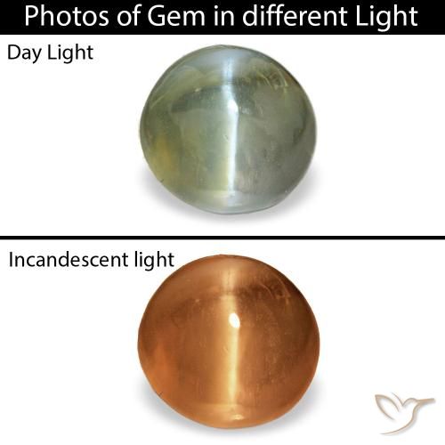 0.60캐럿 천연 미디엄 그린 Cat's Eye Alexandrite, 타원형 컷, 4.8×4.5 mm, 불투명체