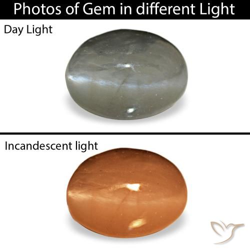 0.72ct 그레이 Cat's Eye Alexandrite, 오벌, 불투명체