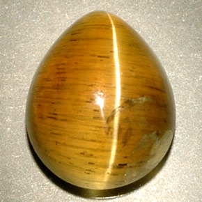 4.94캐럿 천연 허니 Cat's Eye Apatite, 투명한, 11.1×9 mm, 투명/반투명