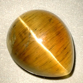 4.94캐럿 천연 허니 Cat's Eye Apatite, 투명한, 11.1×9 mm, 투명/반투명
