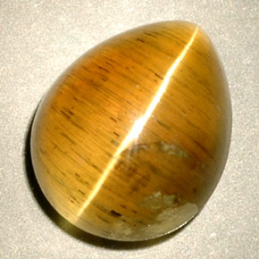 4.94캐럿 천연 허니 Cat's Eye Apatite, 투명한, 11.1×9 mm, 투명/반투명
