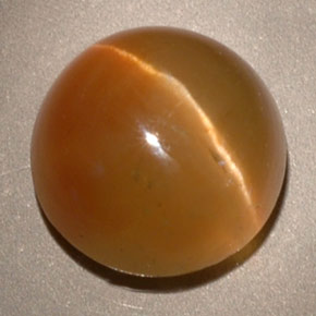 3.62캐럿 천연 허니 Cat's Eye Apatite, 투명한, 8.80 mm, 투명/반투명