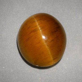 5.05캐럿 천연 허니 Cat's Eye Apatite, 투명한, 10.4×9 mm, 투명/반투명