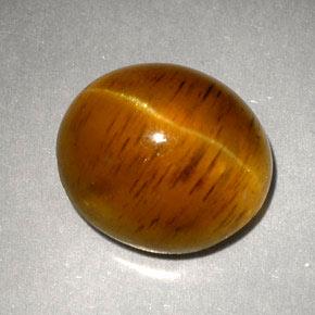 5.05캐럿 천연 허니 Cat's Eye Apatite, 투명한, 10.4×9 mm, 투명/반투명