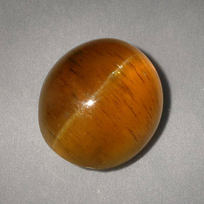 5.05캐럿 천연 허니 Cat's Eye Apatite, 투명한, 10.4×9 mm, 투명/반투명