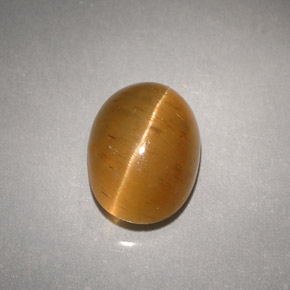 3.94캐럿 천연 허니 Cat's Eye Apatite, 투명한, 9.8×7.4 mm, 투명/반투명