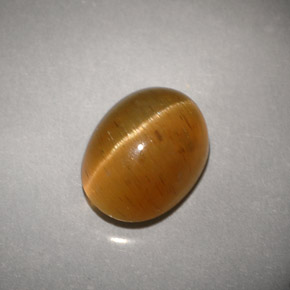 3.94캐럿 천연 허니 Cat's Eye Apatite, 투명한, 9.8×7.4 mm, 투명/반투명