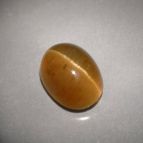 3.94캐럿 천연 허니 Cat's Eye Apatite, 투명한, 9.8×7.4 mm, 투명/반투명