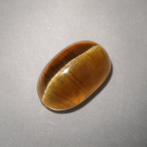 4.93캐럿 천연 허니 Cat's Eye Apatite, 투명한, 10.8×7.2 mm, 투명/반투명
