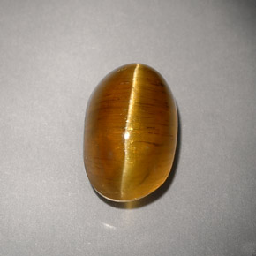 4.93캐럿 천연 허니 Cat's Eye Apatite, 투명한, 10.8×7.2 mm, 투명/반투명
