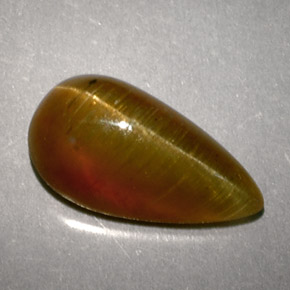 2.89캐럿 천연 꿀 캣츠아이 아파타이트, 배 모양, 투명한