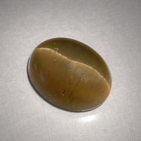 3.11캐럿 천연 녹빛 골든 Cat's Eye Apatite, 타원형 컷, 9.2×7.1 mm, 투명한