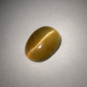 3.01캐럿 천연 녹빛 골든 Cat's Eye Apatite, 타원형 컷, 9.8×7 mm, 투명한