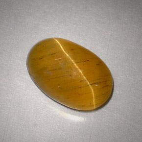 2.48캐럿 천연 녹빛 골든 Cat's Eye Apatite, 타원형 컷, 9.5×6.2 mm, 투명한