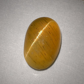 2.48캐럿 천연 녹빛 골든 Cat's Eye Apatite, 타원형 컷, 9.5×6.2 mm, 투명한