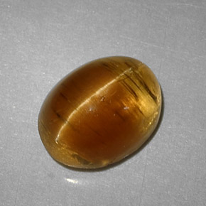 3.32캐럿 천연 허니 Cat's Eye Apatite, 타원형 컷, 9.3×7.2 mm, 투명한