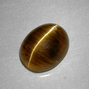 2.64캐럿 천연 허니 Cat's Eye Apatite, 타원형 컷, 8.8×7 mm, 투명한