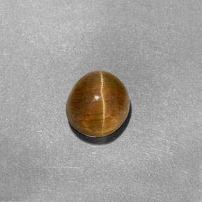 1.61캐럿 천연 허니 Cat's Eye Apatite, 타원형 컷, 6.2×5.7 mm, 투명한