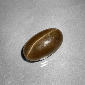 3.58캐럿 천연 허니 Cat's Eye Apatite, 타원형 컷, 10.7×6.2 mm, 투명한