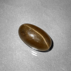 3.58캐럿 천연 허니 Cat's Eye Apatite, 타원형 컷, 10.7×6.2 mm, 투명한