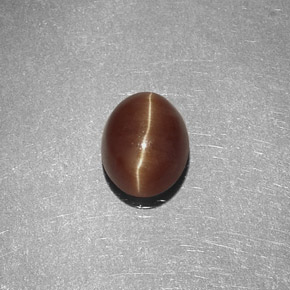 1.47캐럿 천연 허니 Cat's Eye Apatite, 타원형 컷, 7×5.7 mm, 투명한