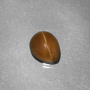 1.46캐럿 천연 허니 Cat's Eye Apatite, 배 모양, 7.3×6 mm, 투명한
