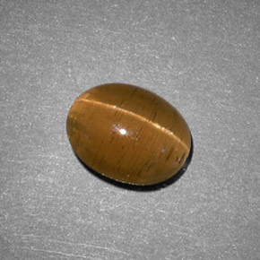 2.05캐럿 천연 녹빛 골든 Cat's Eye Apatite, 타원형 컷, 8.6×7 mm, 투명한