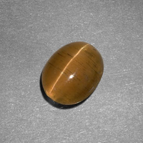 2.05캐럿 천연 녹빛 골든 Cat's Eye Apatite, 타원형 컷, 8.6×7 mm, 투명한