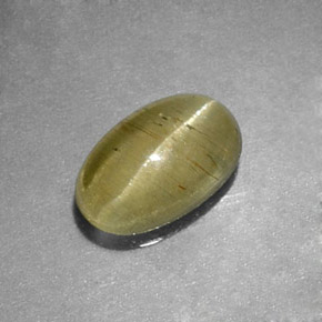 0.96캐럿 천연 옐로우 그린 Cat's Eye Apatite, 투명한, 7.4×4.7 mm, 투명/반투명