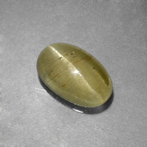 0.96캐럿 천연 옐로우 그린 Cat's Eye Apatite, 투명한, 7.4×4.7 mm, 투명/반투명