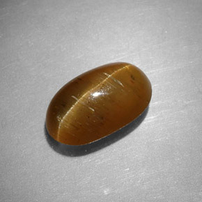 2.44캐럿 천연 허니 Cat's Eye Apatite, 타원형 컷, 9.7×5.9 mm, 투명한