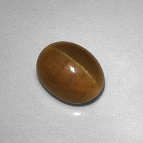 2.85캐럿 천연 녹빛 골든 Cat's Eye Apatite, 투명한, 8.7×6.6 mm, 투명/반투명