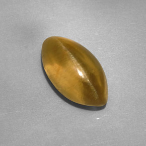 2.59캐럿 천연 녹빛 골든 아파타이트 캣츠아이, 투명한, 투명/반투명