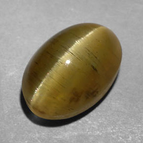 3.47캐럿 천연 골든 그린 캣츠아이 아파타이트, 투명한, 투명/반투명