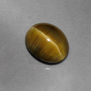 1.87캐럿 천연 골든 그린 Cat's Eye Apatite, 투명한, 7.9×6.5 mm, 투명/반투명