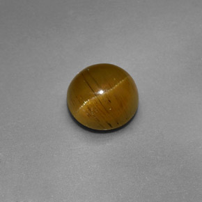 1.47캐럿 천연 골든 그린 Cat's Eye Apatite, 라운드 컷, 6.46 mm, 투명한