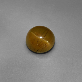 1.47캐럿 천연 골든 그린 Cat's Eye Apatite, 라운드 컷, 6.46 mm, 투명한